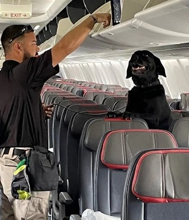 Man with canine in an airline