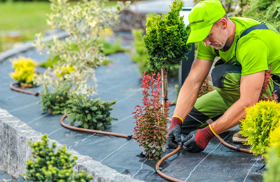 Landscaping Services Landscaper