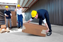 worker lifting box 